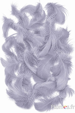 Gans - 4-6 cm - grijs